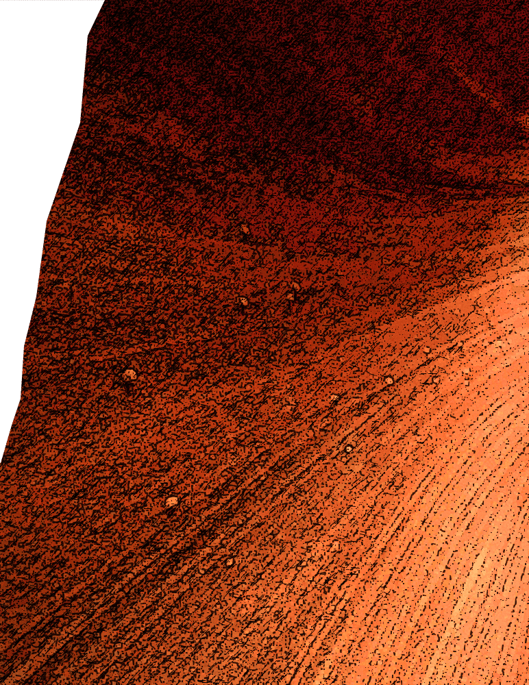 Le véritable spécimen humain