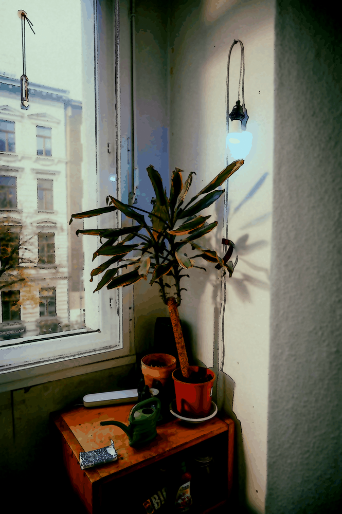 Il existe une science du bien vivre