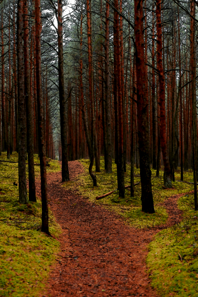 Ne te laisse pas dominer par les résultats