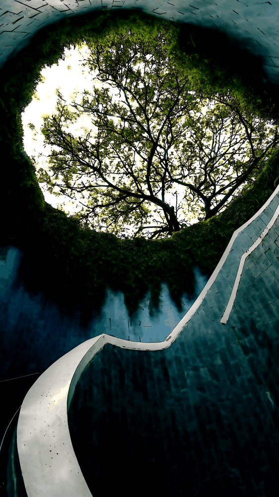 Même les patriciens peuvent manquer d’affection