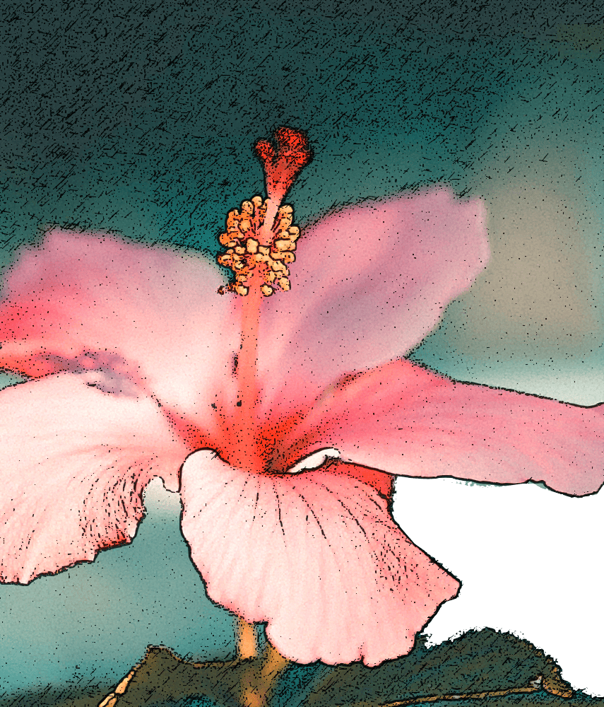 Les leçons de ma mère