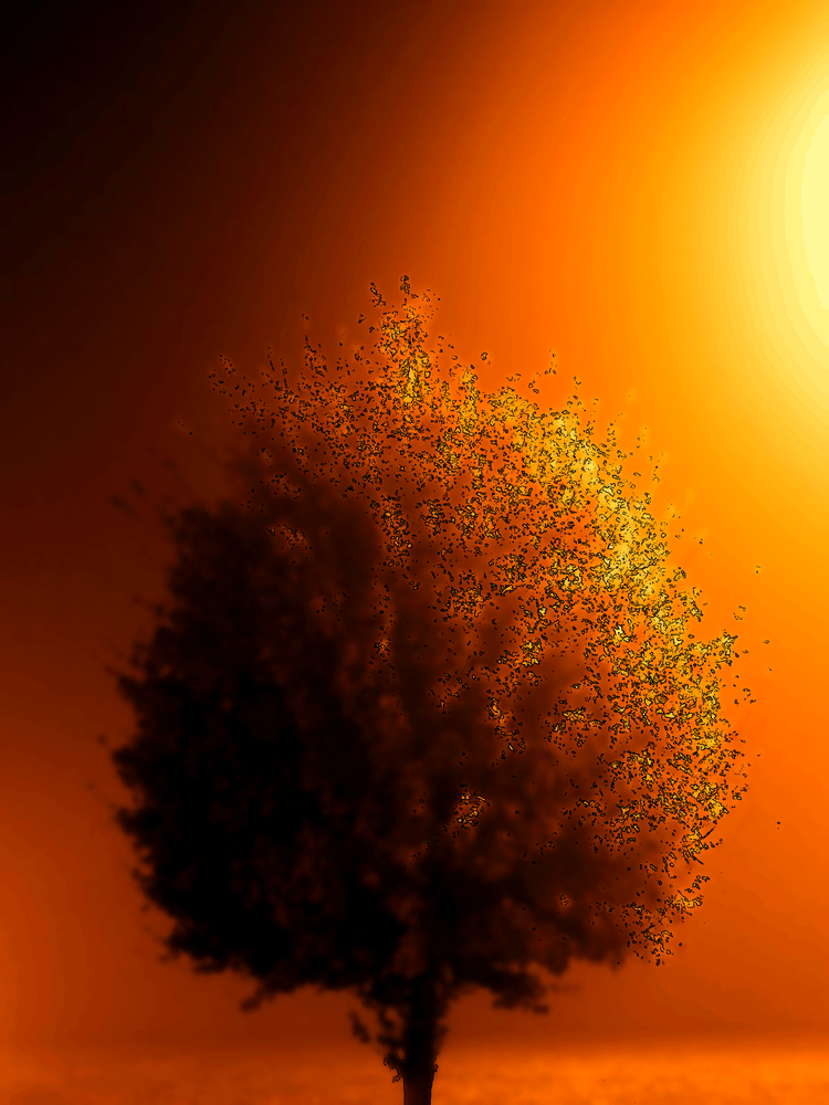 La louange ne change rien à la valeur des choses