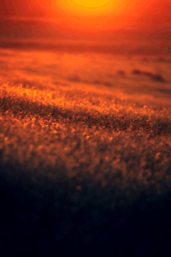 Tu n’es qu’une infime partie du tout