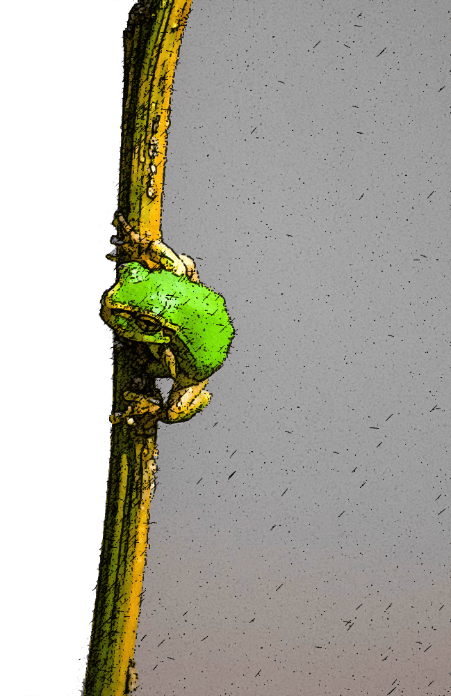 "L’intention derrière chaque action