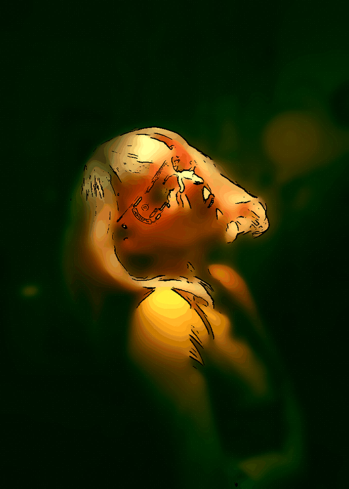 Vis dans la vérité et la justice