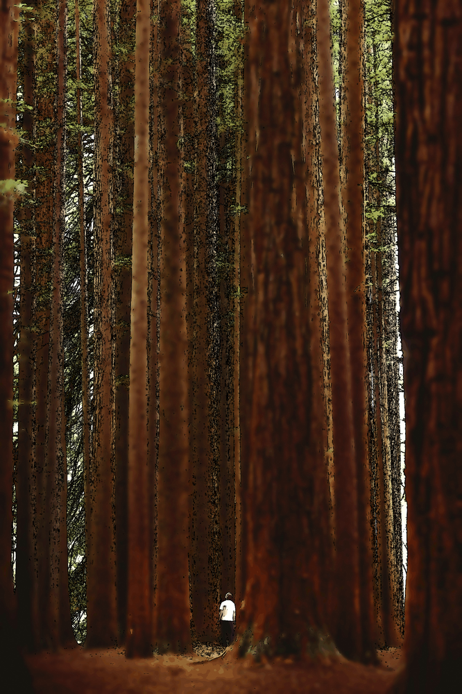 Si la vie ne vaut plus la peine, pars en paix