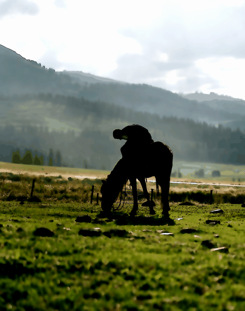 La justice exige clarté et constance