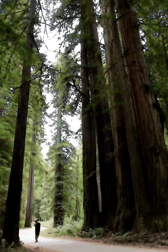 Pourquoi accorder plus d’importance à l’avis d’autrui qu’au tien ?