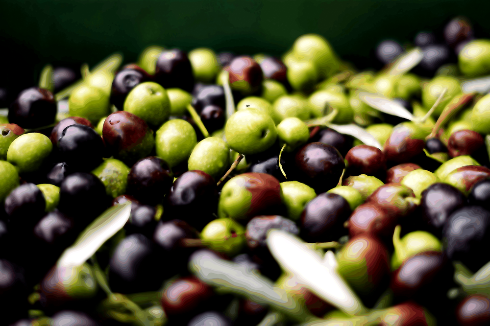 L'irrévocabilité de la nature humaine