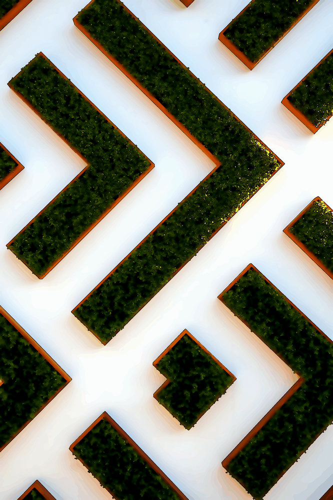 Les nerfs du philosophe