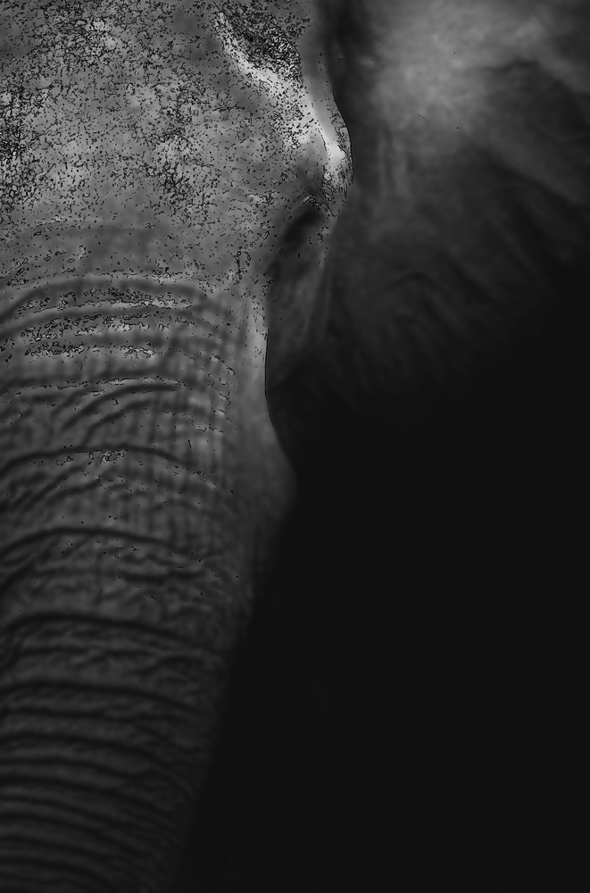 Exploiter sa force intérieure