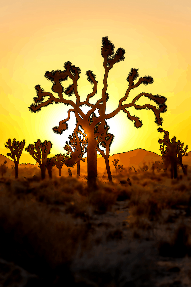 Aveugle à l’essentiel