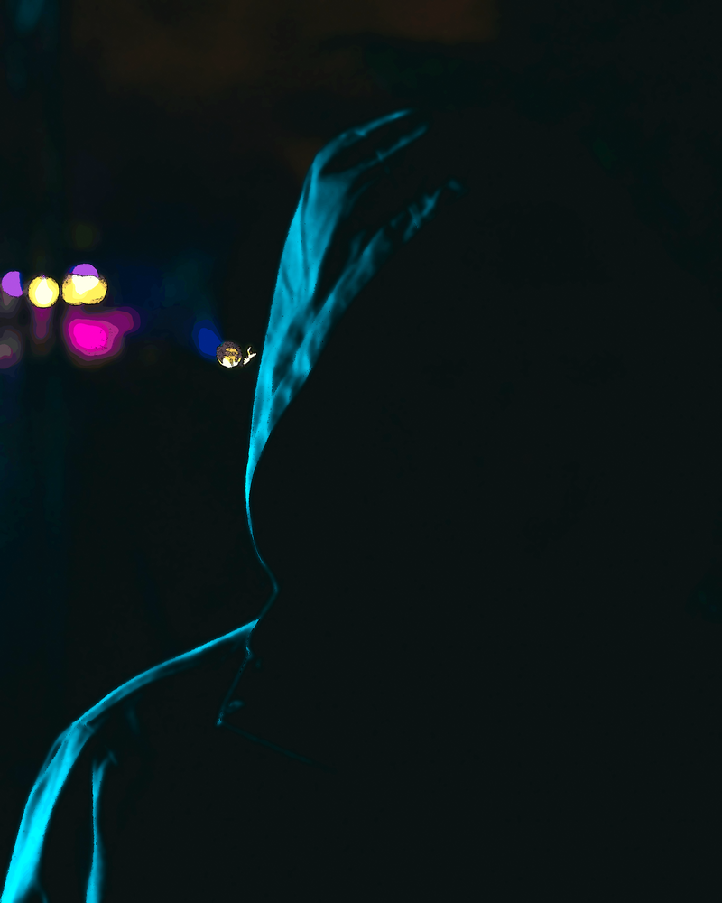 La raison au-delà de la passion